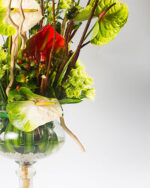 Floradelic - Buy Online Fresh Cut Flowers in Bangalore
