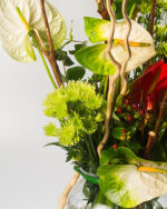 Floradelic - Buy Online Fresh Cut Flowers in Bangalore