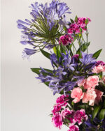 Floradelic - Buy Online Fresh Cut Flowers in Bangalore