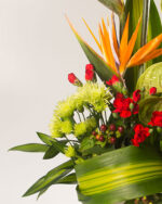 Floradelic - Buy Online Fresh Cut Flowers in Bangalore