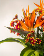 Floradelic - Buy Online Fresh Cut Flowers in Bangalore