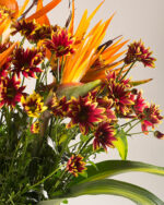 Floradelic - Buy Online Fresh Cut Flowers in Bangalore