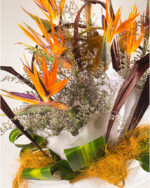 Floradelic - Buy Online Fresh Cut Flowers in Bangalore