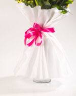 Floradelic - Buy Online Fresh Cut Flowers in Bangalore