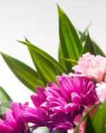 Floradelic - Buy Online Fresh Cut Flowers in Bangalore