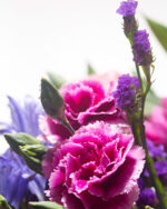 Floradelic - Buy Online Fresh Cut Flowers in Bangalore