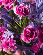 Floradelic - Buy Online Fresh Cut Flowers in Bangalore