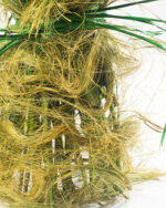 Floradelic - Buy Online Fresh Cut Flowers in Bangalore