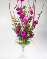 Floradelic - Buy Online Fresh Cut Flowers in Bangalore