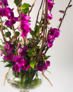 Floradelic - Buy Online Fresh Cut Flowers in Bangalore